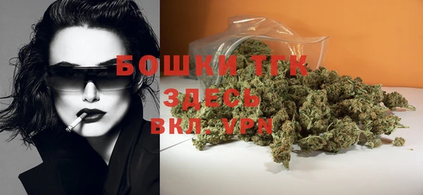 ГАЛЛЮЦИНОГЕННЫЕ ГРИБЫ Костерёво