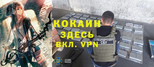 ГАЛЛЮЦИНОГЕННЫЕ ГРИБЫ Костерёво