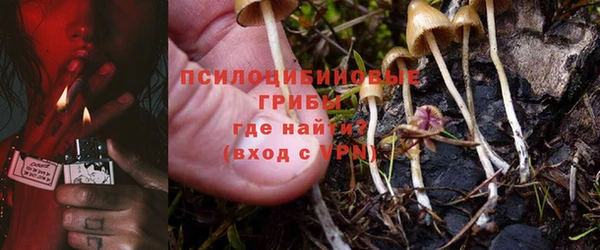 MESCALINE Коряжма