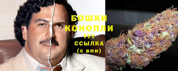 ГАЛЛЮЦИНОГЕННЫЕ ГРИБЫ Костерёво