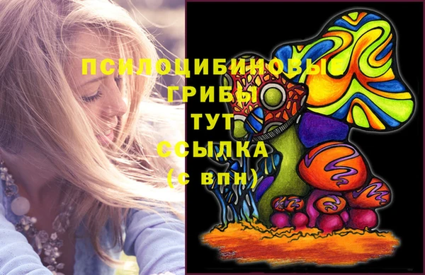 ГАЛЛЮЦИНОГЕННЫЕ ГРИБЫ Костерёво