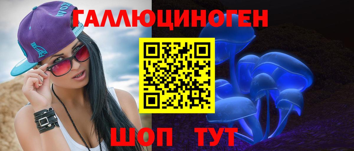 Назрань  Галлюциногенные грибы Psilocybine cubensis  Вход с VPN 